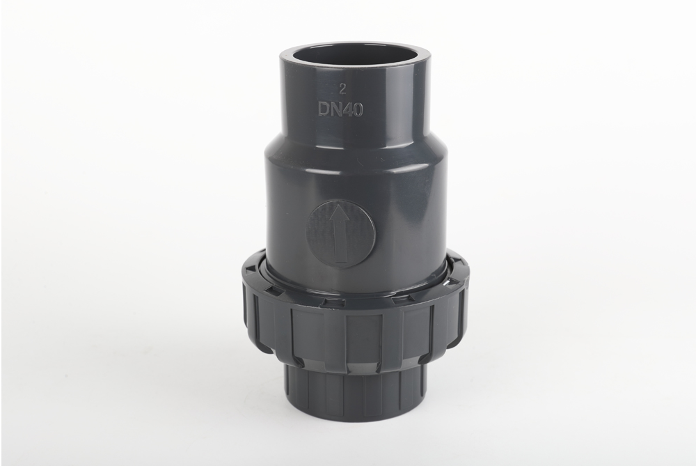 罗定单由令止回阀